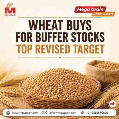  India&rsquo;s Wheat Procurement Exceeds Target, Boosting Buffer Stocks