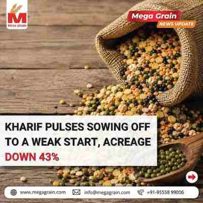 Kharif Pulses Sowing Sees Weak Start as Acreage Drops 43% Amid Delayed Monsoon