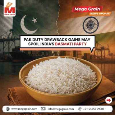 Pakistan's Export Incentives May Challenge India's Basmati Rice Market