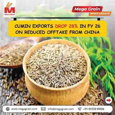India&rsquo;s Cumin Exports Fall 28% in FY26 as China Demand Weakens