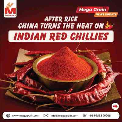 China Rejects Indian Chilli Shipments Over Pesticide Residue Concerns