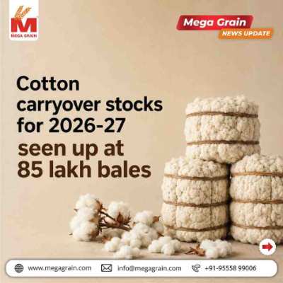 India's Cotton Imports Surge as Carryover Stocks for 2026-27 Seen at 85 Lakh Bales