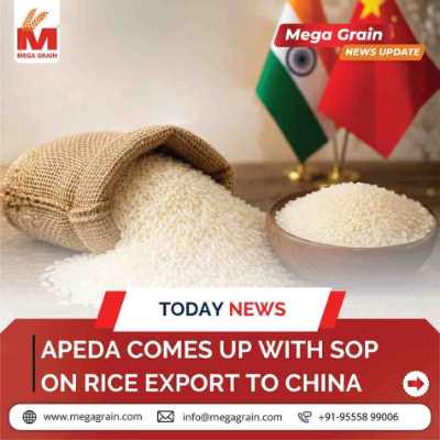 APEDA Introduces New SOP for Rice Exports to China Amid GMO Compliance Concerns