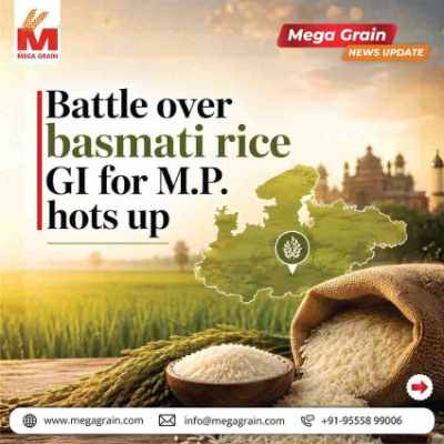 Basmati Rice GI Dispute Intensifies as AIREA Opposes Madhya Pradesh Inclusion