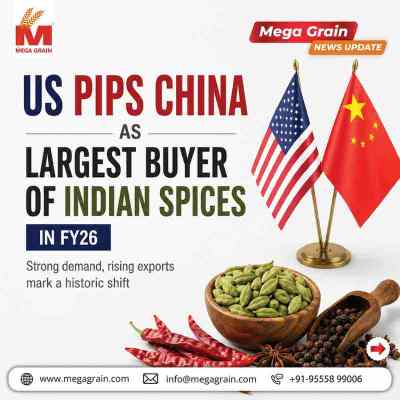 US Overtakes China as the Largest Buyer of Indian Spices in FY2025&ndash;26