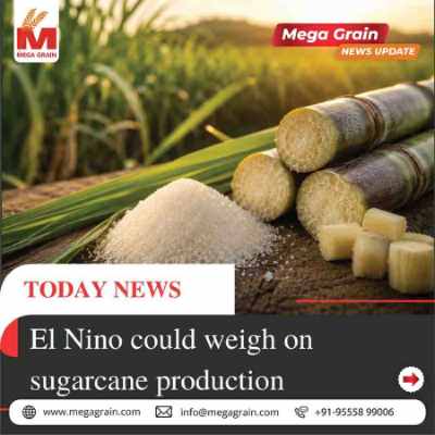 El Ni&ntilde;o Threat Looms Over India&rsquo;s Sugarcane Production