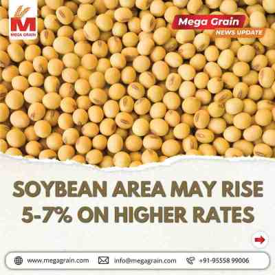 Higher Soybean Prices Likely to Boost Kharif Acreage by 5&ndash;7%