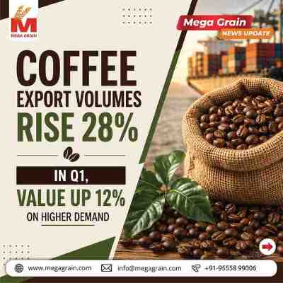 India's Coffee Exports Jump 28% in Q1 FY27 as Global Demand Stays Strong