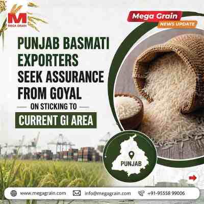 Punjab Basmati Exporters Urge Government to Retain Existing GI Area