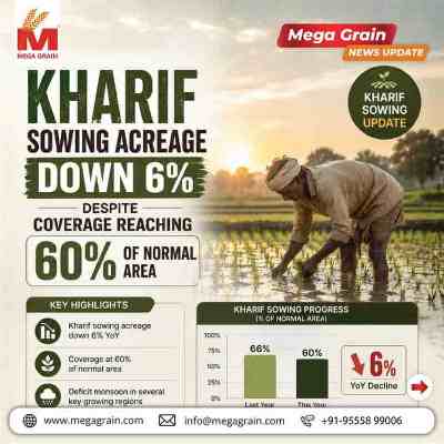 India's Kharif Sowing Deficit Narrows to 6% After Improved Monsoon Rains
