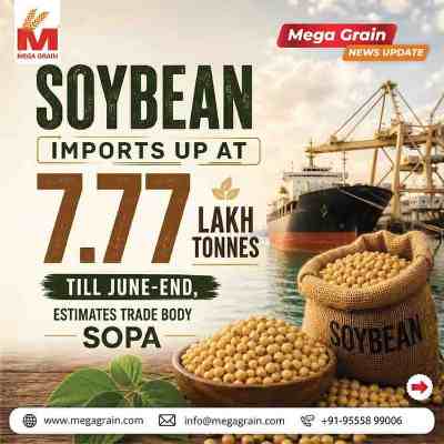India's Soybean Imports Surge to 7.77 Lakh Tonnes Amid Tight Domestic Supply