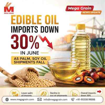 India's Edible Oil Imports Fall 30% in June as Palm & Soy Oil Shipments Decline