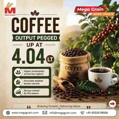India's Coffee Production Projected to Rise 8% to 4.04 Lakh Tonnes in 2026&ndash;27