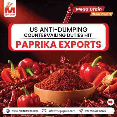 US Imposes Anti-Dumping Duties on Indian Paprika Exports