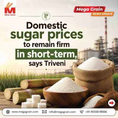 Domestic Sugar Prices to Stay Firm as Triveni Reports Strong Q1 FY27 Performance