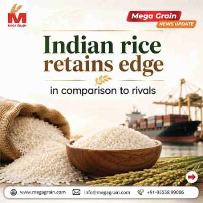 Indian Rice Maintains Competitive Edge Despite Rising Prices