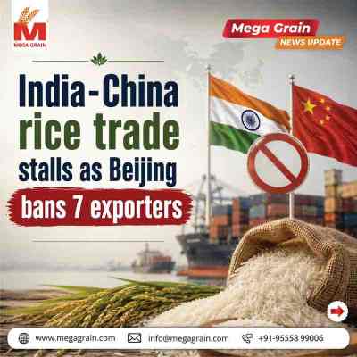 India&ndash;China Rice Trade Stalls as Beijing Bans 7 Indian Exporters