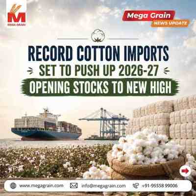 India&rsquo;s Cotton Opening Stocks Set to Hit Record High in 2026&ndash;27
