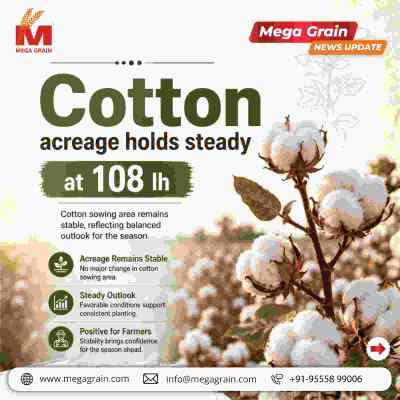 India&rsquo;s Cotton Acreage Holds Steady at 108.45 Lakh Hectares