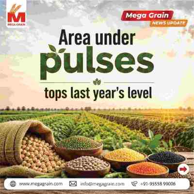 India&rsquo;s Kharif Pulses Acreage Rises 1.68% Above Last Year