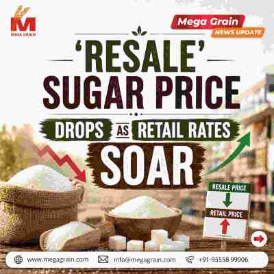 Resale Sugar Prices Drop ₹400&ndash;500/Quintal After Duty-Free Import Approval