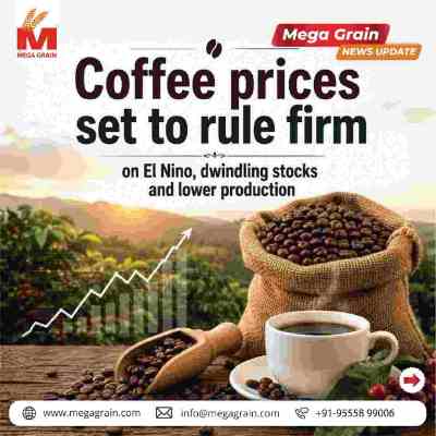 Coffee Prices Set to Remain Firm Amid Global Supply Concerns