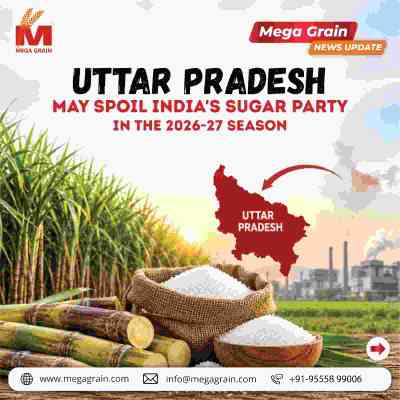 Uttar Pradesh Sugar Production May Reach 9 Million Tonnes in 2026&ndash;27