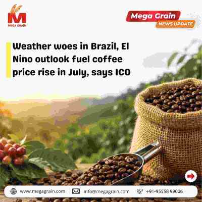 Global Coffee Prices Surge 15.4% in July Amid Weather Concerns