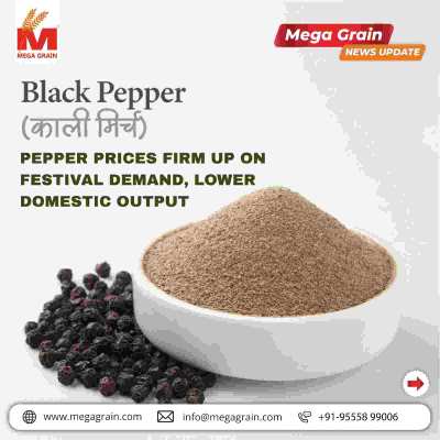 Black Pepper Prices Firm Up on Festival Demand and Lower Domestic Output