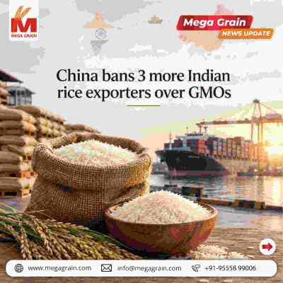 China Bans 3 More Indian Rice Exporters Over Alleged GMO Concerns