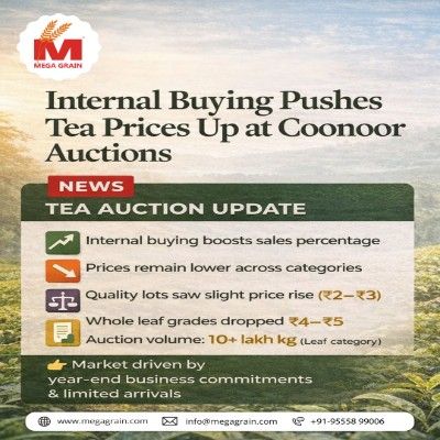 Internal Buying Boosts Tea Sales at Coonoor Auctions